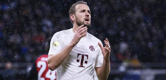 在大型体育 在大型体育